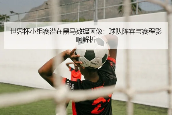 世界杯小组赛潜在黑马数据画像：球队阵容与赛程影响解析